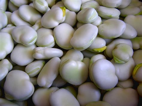 O Que Significa Fava - Benefícios da Fava