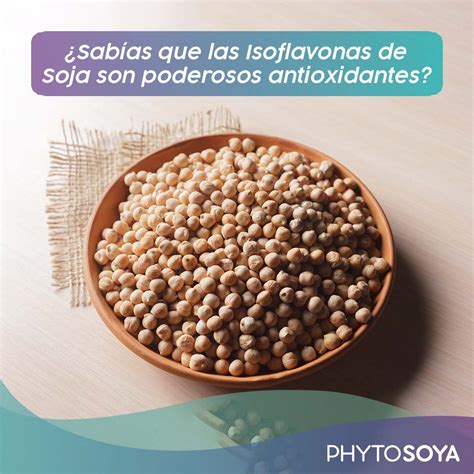 Isoflavonas De La Soja Phytosoya