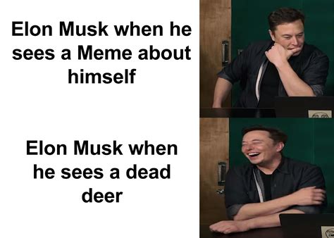 Thank You Elon Musk And Justin Roiland For Meme Review