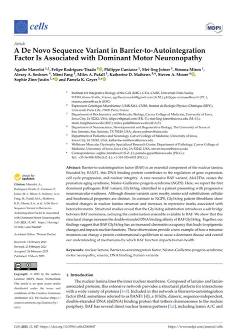 Pdf A De Novo Sequence Variant In Barrier To Autointegration Factor