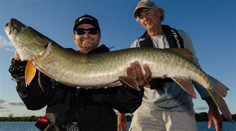 Pigeon Lake, Ontario – Fish'n Canada