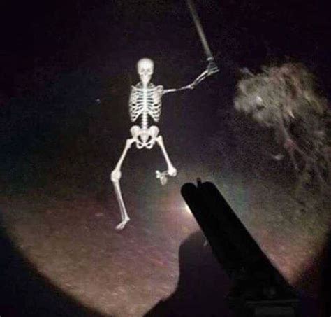 Cursed Spider Cursedimages