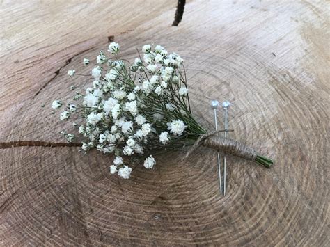 Dried Gypsophila Buttonhole Babys Breath Boutonniere Dried Etsy UK