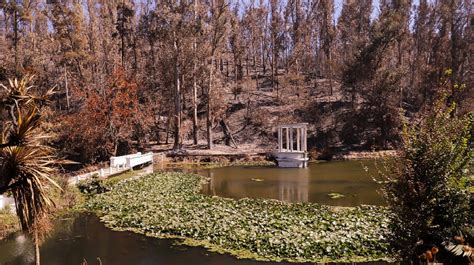 Ministerio De Agricultura Destinará 500 Millones Para La Recuperación Del Jardín Botánico Tras