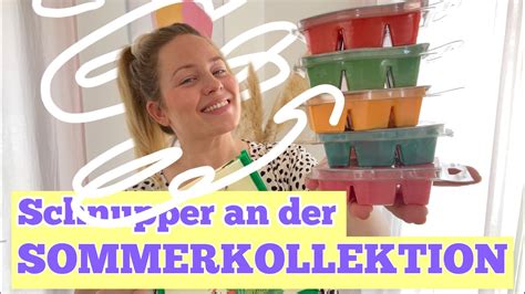 Scentsy Sommerkollektion Duftempfehlung D Fte Schnuppern Youtube