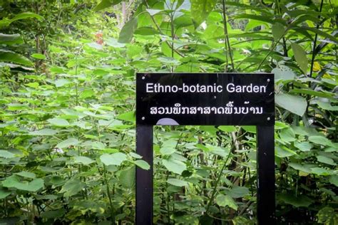 Pha Tad Ke Botanical Gardens In Luang Prabang In Laos