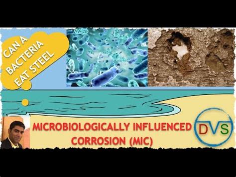 MIC Microbiological Influenced Corrosion Corrected YouTube