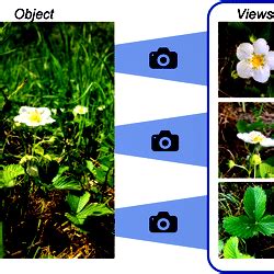 collection  images  composed  multiple views depicting