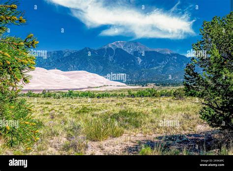 Great Sand Dunes In The Morning Light Against The Sangre De Cristo