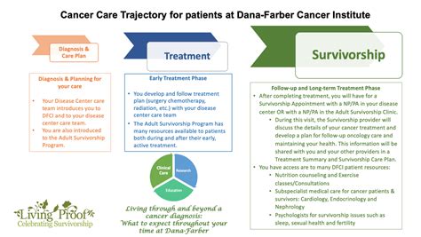 What Is Survivorship Adult Survivorship Program