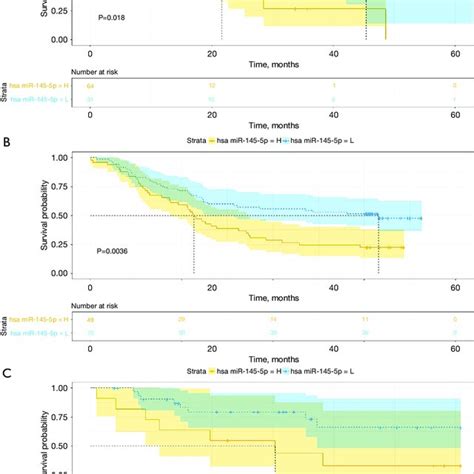 Kaplan Meier Curve For Overall Survival Rate In Escc Patients Grouped