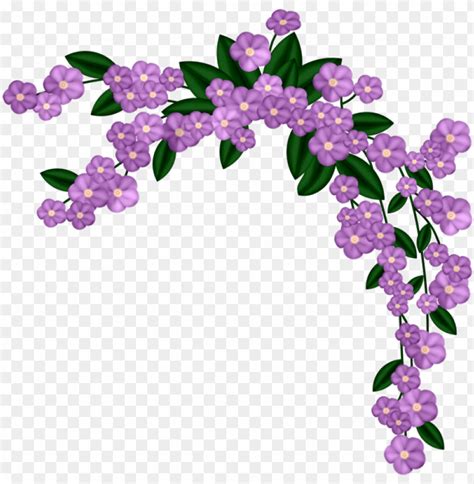 Lavender Flower Border Design