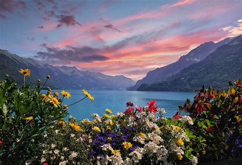 15 Places To Visit In And Around Interlaken Switzerland