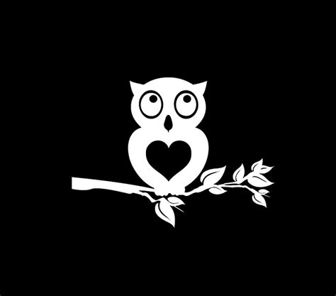 Owl Owls A2 Window Decal Sticker Custom Made In The Usa Fast Shipping