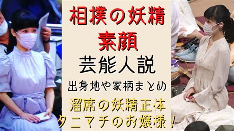 相撲の妖精の素顔が判明！溜席の妖精正体はタニマチのお嬢様！ 気になるマガジンdogyear