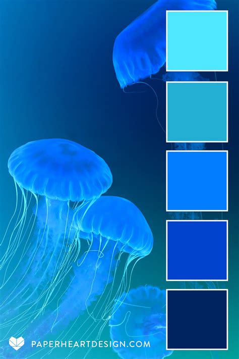 Color Palette: Brilliant Jellyfish — Paper Heart Design Co.