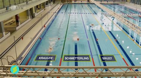 Warum ist Kraul schnellste Schwimmart News SG Neukölln Berlin