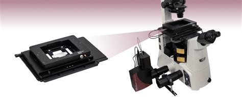 Xyz Microscope Stages