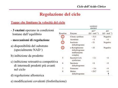 Macromolecole Biologiche