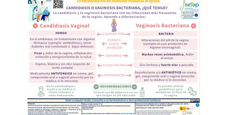 Diferencia Entre Vaginosis Bacteriana Y Candidiasis Vaginal 45 OFF