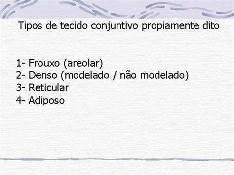 Tecido Conjuntivo Sseo Tecido Conjuntivo Funes Dar Sustentao