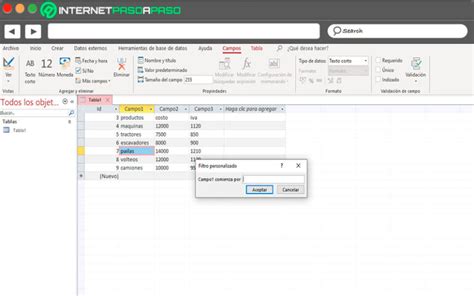Ordenar y Filtrar Datos en Access Guía Paso a Paso 2025