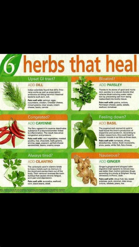 Healing Herbs & Spices | Healing herbs, Herbs, Herbs for health