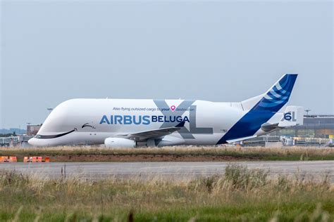 Airbus Revela O Sexto E último Beluga Xl Com Pintura Especial Airway