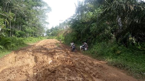 Jalan Rusak Parah Sinyal Telpon Tidak Ada Warga Kelaparan