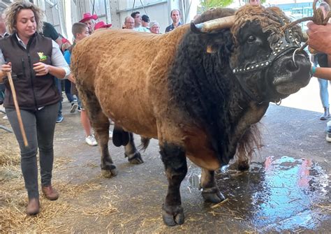 Plus de 1 680 exposants au Sommet de lélevage 2023 Région