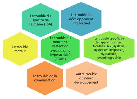 Vers Linclusion Et Le Soutien La Nouvelle Stratégie Nationale Pour Les Troubles Neurodéveloppement