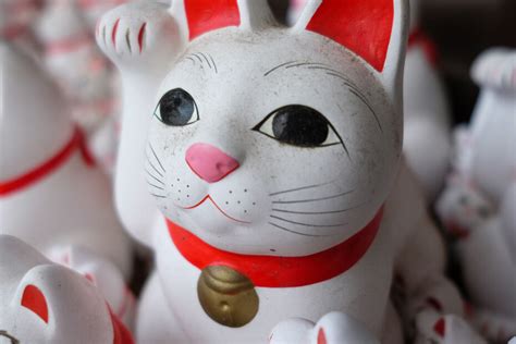 Maneki Neko El Gato De La Suerte Japon S The School Blog