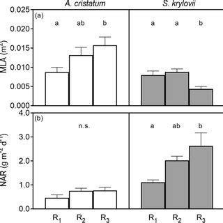 A Mean Leaf Area Mla And B Net Assimilation Rate Nar Of A