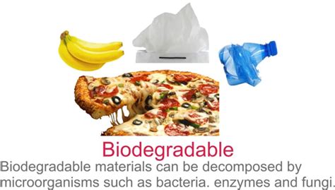 Biodegradable and Non Biodegradable | Difference between Biodegradable and Non-biodegradable Wastes