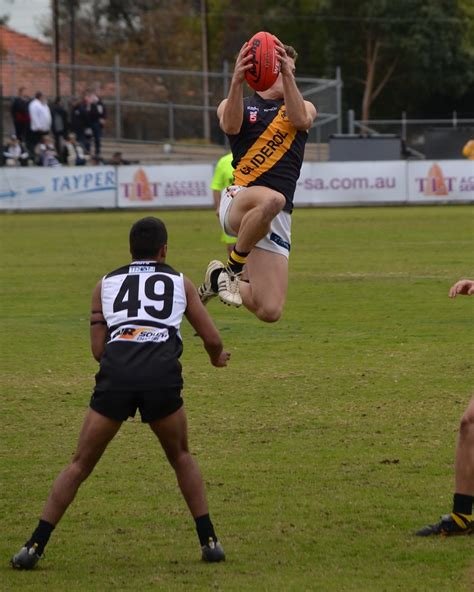 Jonny Wilson Glenelg Tigers V Port Adelaide Magpies Sanfl Flickr