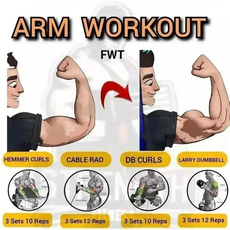 The Best Science Based Bicep Workout For Size And Definition Gym