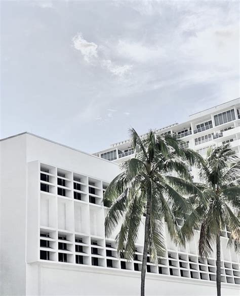 Two Palm Trees In Front Of A White Building