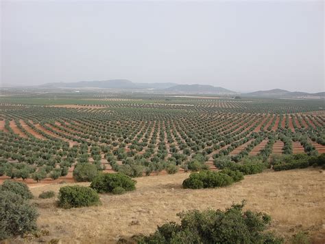 La Mancha, Spain - Robert Ward Meteorites