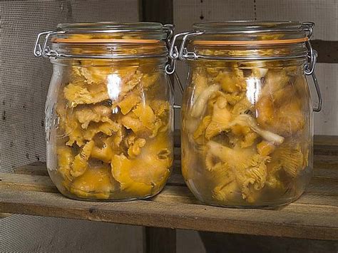 Comment stériliser les champignons au naturel Conserve