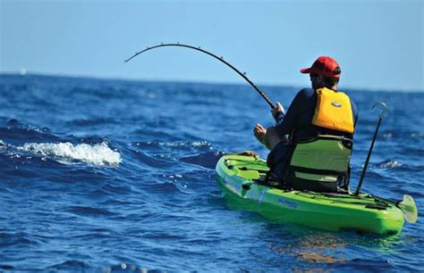 Pesca Desde Kayak Hazte Un Experto Pescador Del Kayakfishing Todo