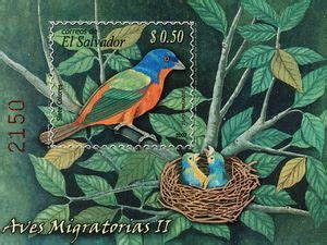 Stamp Painted Bunting Passerina Ciris El Salvador Birds Mi SV BL68