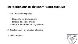 Lipidos Y Tejido Adiposo Ppt Descarga Gratuita