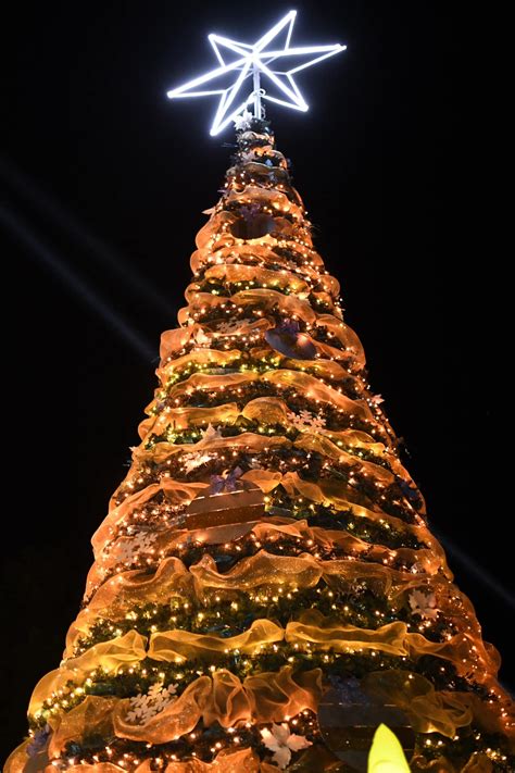 Tlatizap N Encendido Del Arbol De Navidad