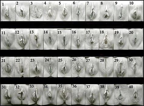 All Pussy Porn Pictures XXX Photos Sex Images 1250754 PICTOA