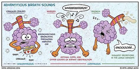 Pin On Pulmonary Hypertension