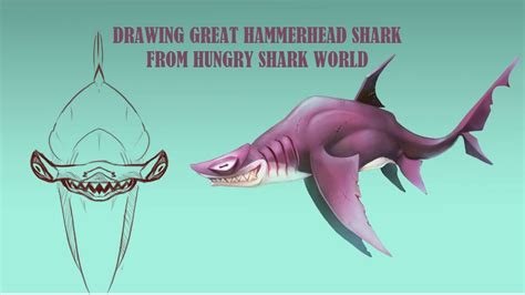 Great Hammerhead Shark Drawing At Paintingvalley Explore