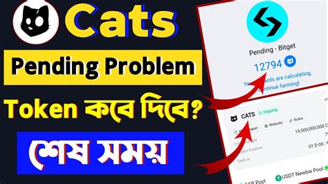 Cats Token Pending Problem Cats Token Pending Bitget Cats Token