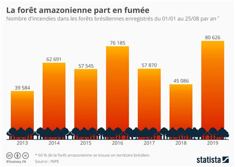 La Foret Amazonienne Ne Brule Pas