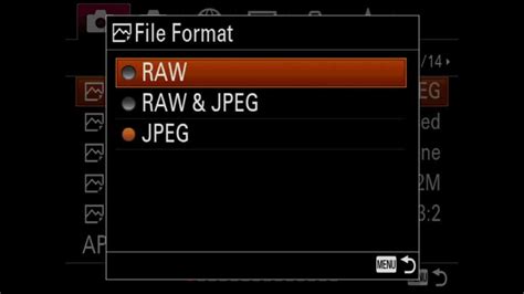 Sony a9 Wildlife Photography Settings - TechnoWifi