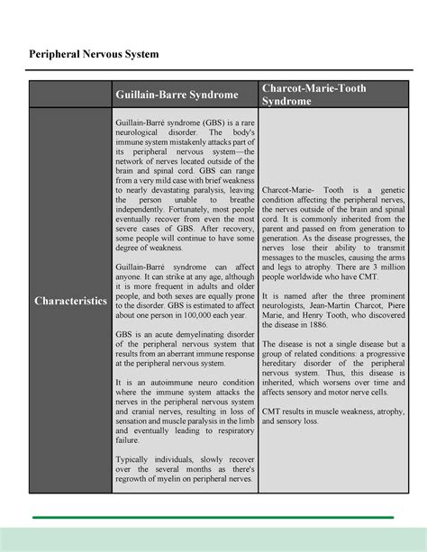 Human Anatomy With Pathophysiolgy Gbs And Cmt Peripheral Nervous